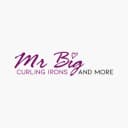 Mr Big logo