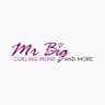 Mr Big logo