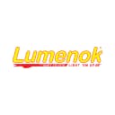 Lumenok logo