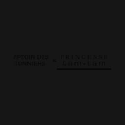 Princesse tam tam logo