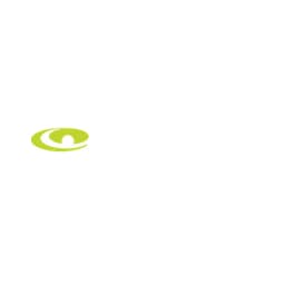 SkyGolf logo