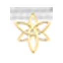 SERAPHIM logo