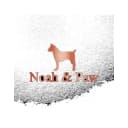 Noah & Paw logo