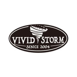 VIVIDSTORM logo