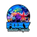 Foxy Saltwater Tropicals logo