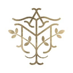 All Moringa logo