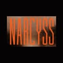 Narcyss logo