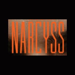 Narcyss logo