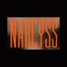 Narcyss logo