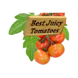Best Juicy Tomatoes logo