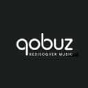 Qobuz logo