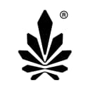 Nine Realms logo