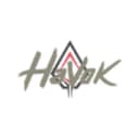 Havok Solutions logo