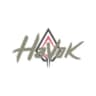 Havok Solutions logo