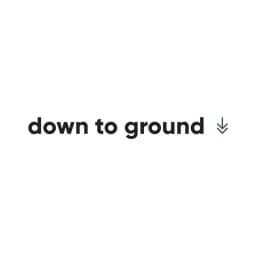 Down To Ground logo