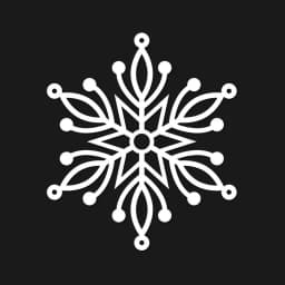 WTF Bracelet logo
