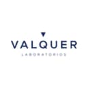 Valquer logo