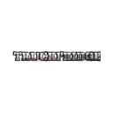 TruckFridge logo