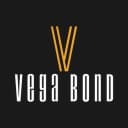 VBinsulation logo