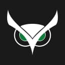 Usnighthawk logo