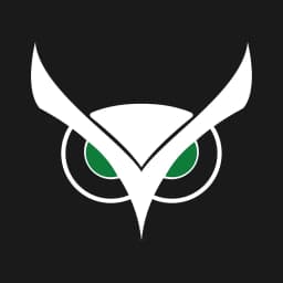 Usnighthawk logo