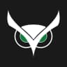 Usnighthawk logo