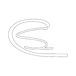 City Swag USA logo