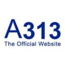 A313 logo