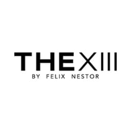 THE XIII logo