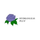 Hydrangeas Plus logo