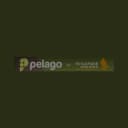 Pelago logo