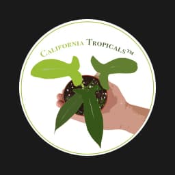 California Tropicals logo