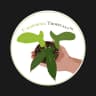 California Tropicals logo