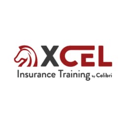XCEL Solutions logo
