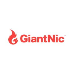 Giant Nic logo