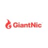 Giant Nic logo