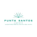 Punta Santos logo