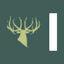 Kings Camo logo