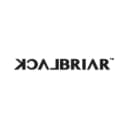 BlackBriar USA logo