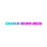 Charlie Bravo Delta logo