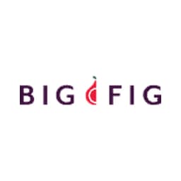 Big Fig Mattress logo
