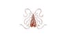 Goldbug Collection logo