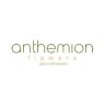 Anthemion Flowers logo