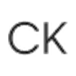 Calvin Klein logo
