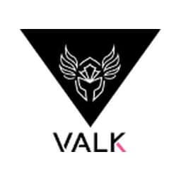 Valk Gaming logo