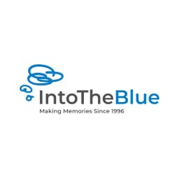 Into The Blue logo