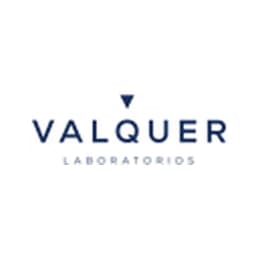 Valquer logo