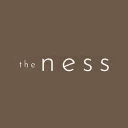 the ness logo