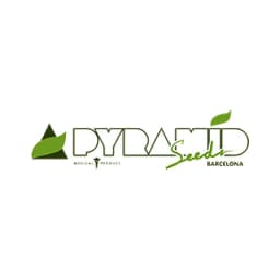 Pyramid Seeds logo