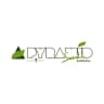 Pyramid Seeds logo